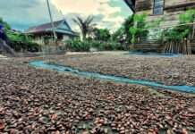 Kaleidoskop 2025 : Warga Nilai Operasi Keamanan Poso Tidak Perlu Diperpanjang