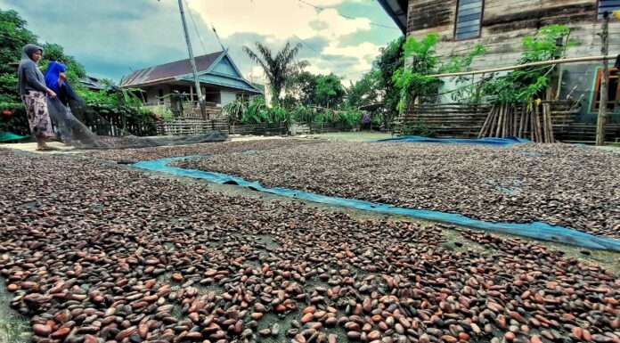 Warga Nilai Operasi Keamanan Poso Tidak Perlu Diperpanjang