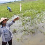 Membincangkan HAM Sehari-hari di Poso: Soal Danau, Sampah Hingga Akses Kesehatan