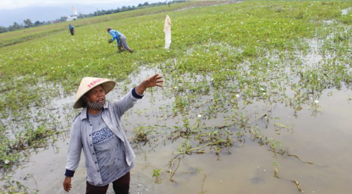 Membincangkan HAM Sehari-hari di Poso: Soal Danau, Sampah Hingga Akses Kesehatan