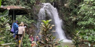 Air terjun Kandela, desa Tindoli, kecamatan Pamona Tenggara. Hanya berjarak sekitar 400 meter dari pusat pemukiman. (foto :dok. Institut Mosintuwu)