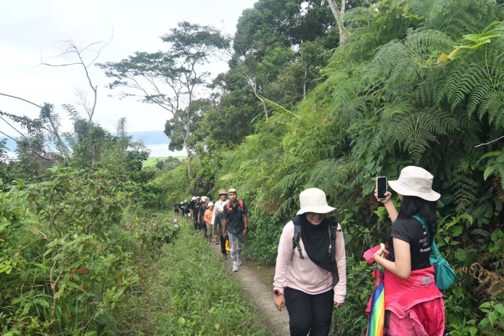 Perjalanan menuju benteng Kandela membutuhkan waktu sekitar 1 jam. Menyusuri jalan setapak menanjak dengan pemandangan indah danau Poso dan hamparan sawah. (foto : Dok. Institut Mosintuwu)