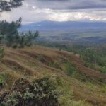 Konflik Agraria di Poso, Ketika Negara Merampas Hak Hidup Warga