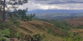 Konflik Agraria di Poso, Ketika Negara Merampas Hak Hidup Warga