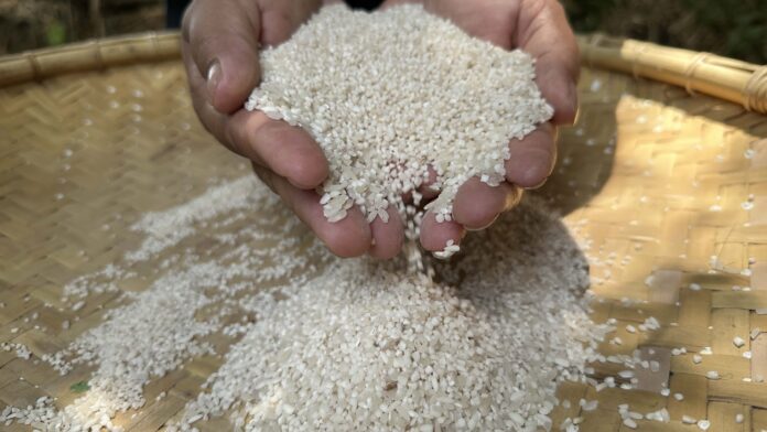 Beras Kamba1